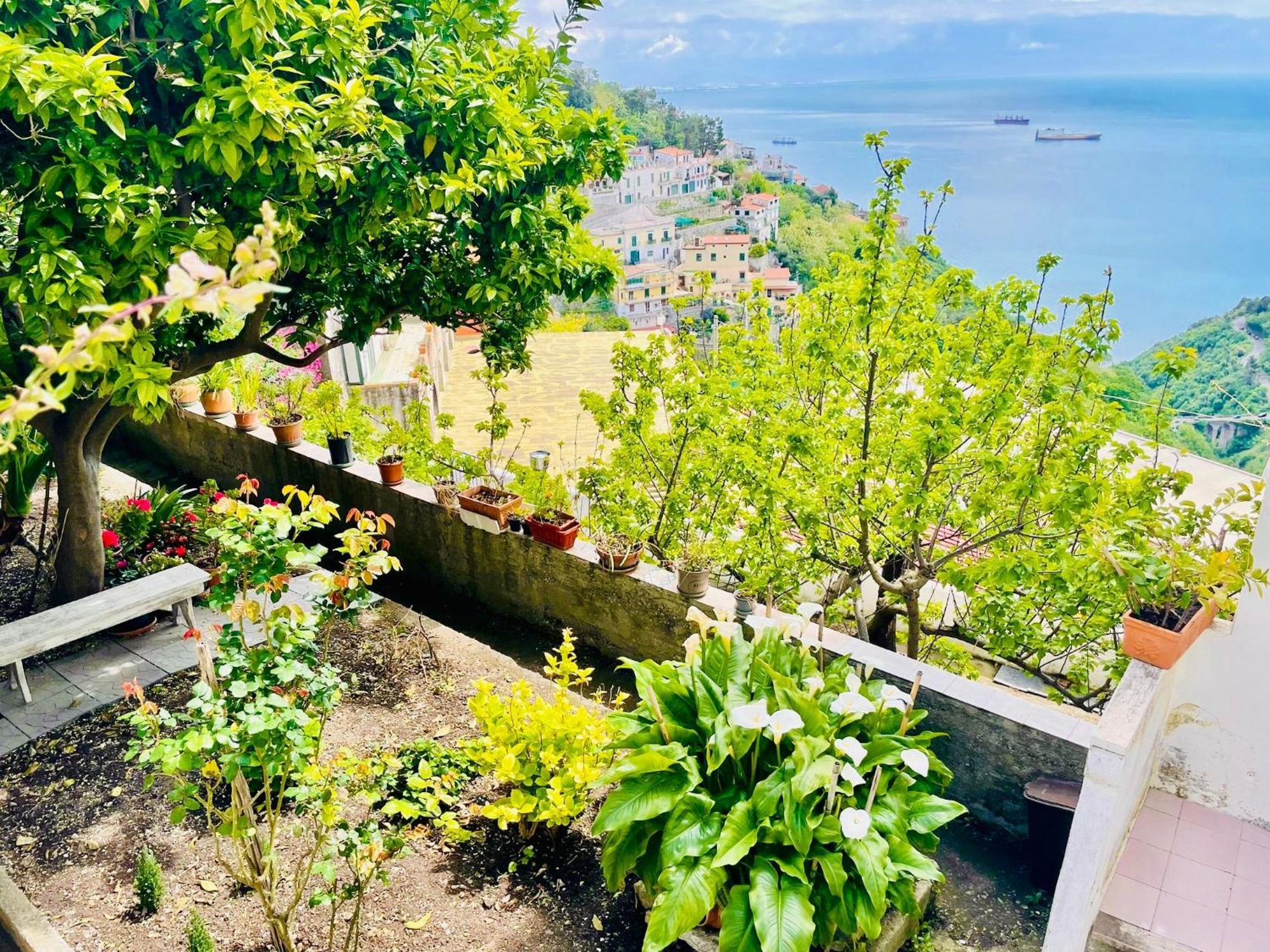 Borgo Virginia - Sea View In Amalfi Coast Lejlighed Vietri Eksteriør billede